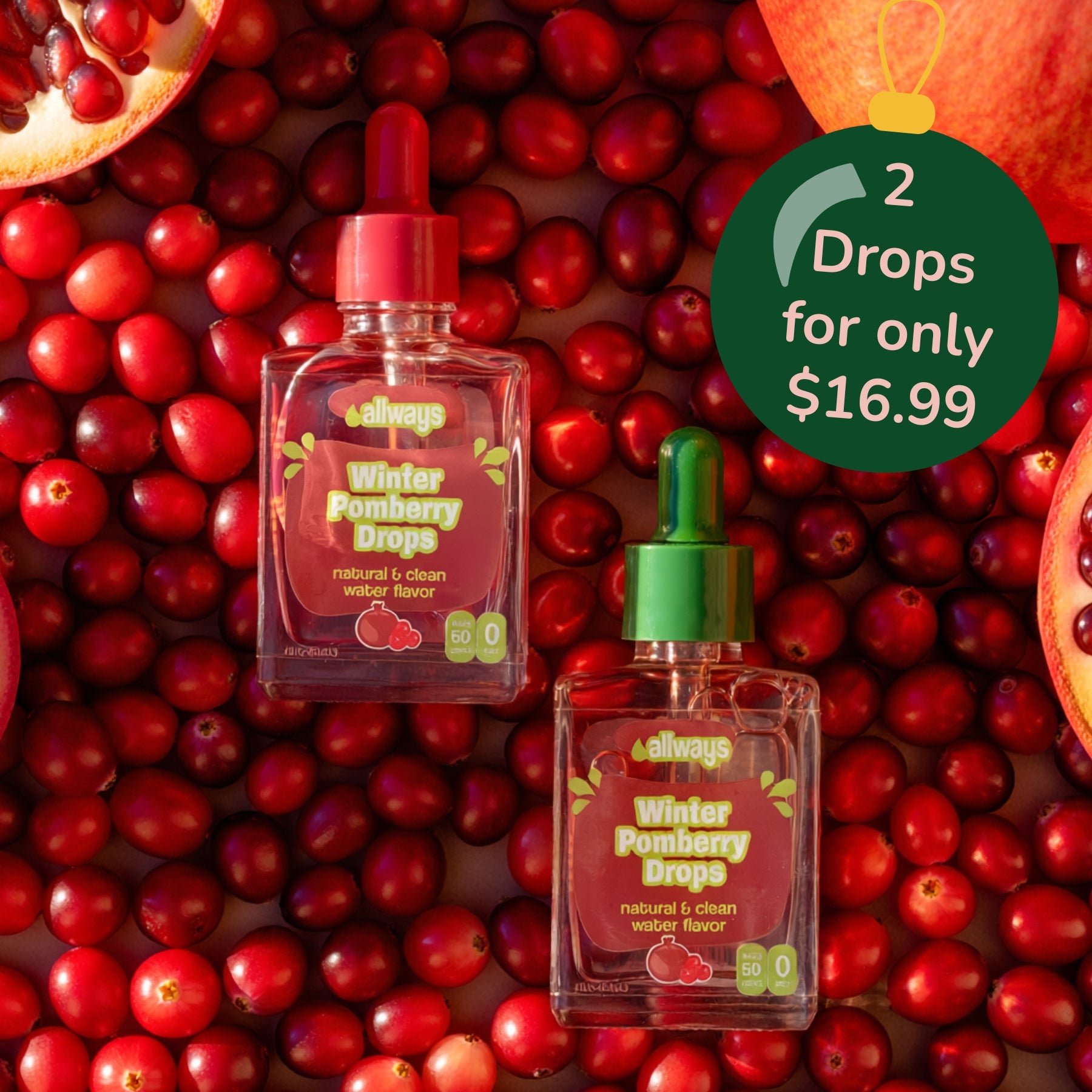 Allways Insider Club